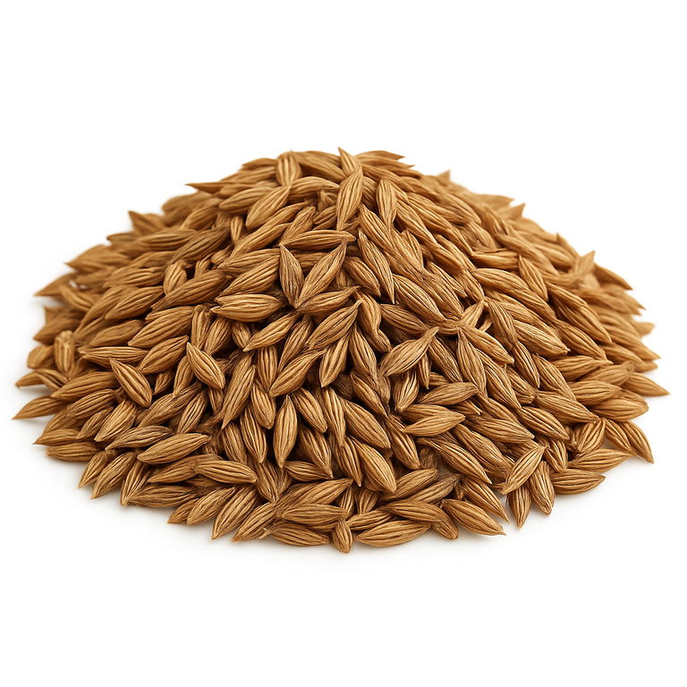Cumin Seeds