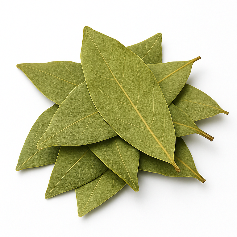 Bay Leaf