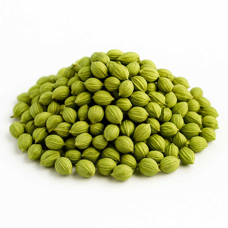 Coriander Seeds