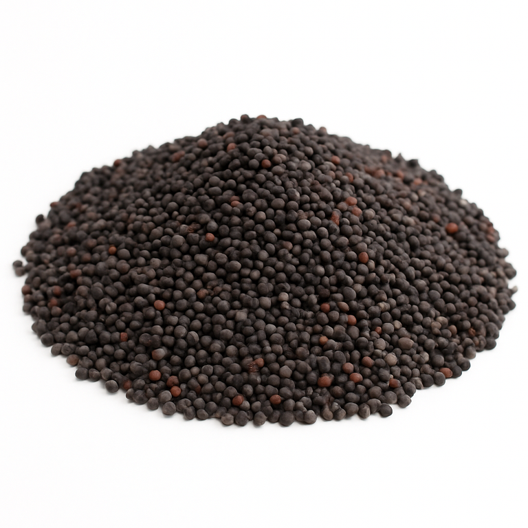 Black Mustard Seeds