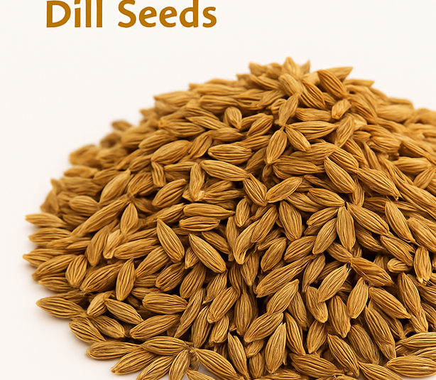Dill Seeds